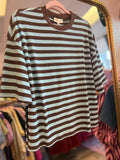 Brown and Light Blue striped Top